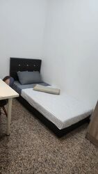 Dover Parkview (D5), Condominium #602798421